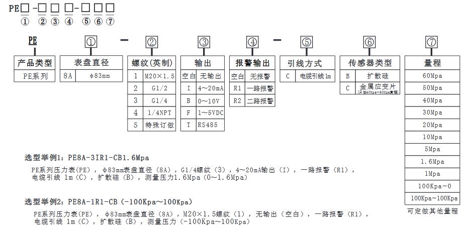 PE8A选型